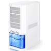 EasyAcc® 1,3L/24h Deumidificatore Casa Piccolo Contro Muffa 20㎡- Innovativa Risc