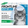 FRONTLINE Spot On, 12 Pipette, Gatto, Antiparassitario per Gatti e Gattini di Lu