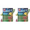 Protect Garden Sanium Pin PFnPO, Insetticida Sistemico in Pillole. Elimina Afidi
