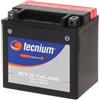 Tecnium ✅ Batteria HONDA FL R ODYSSEY PILOT 400 1993 Tecnium YTX14-BS BTX14-BS