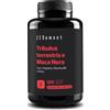 Zenement Tribulus Terrestris e Maca Nera con L Arginina Zinco e Vitamina B6 Formula per