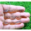 Markenlos Lotto 11 pezzi 16-18 mm superiore arancione granato hessonite pietra preziosa...
