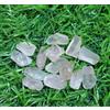 Ultimate Rare 14 pezzi lotto quarzo rosa grezzo misura 13-17 mm pietra prezio...