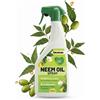 Olio Di Neem per Piante Pronto All'Uso Naturale 1 Lt - Olio Neem Biologico Idros