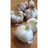 Jubilee 20 BULBI DI AGLIO VIOLA GERMIDOUR PER LA SEMINA BULBI DI AGLIO 20 SPICCHI
