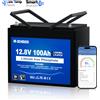 DCHOUSE 12V 100Ah LiFePO4 batteria litio ricaricabile Batteria bluetooth batteria