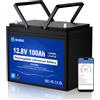 DCHOUSE 12V 100Ah Batteria al litio LiFePO4 Bluetooth LiFePO4 1280Wh, 100A BMS