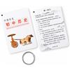 Set di flashcard di storia con anello per il ripasso a scuola, flashcards