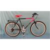 regina d'abruzzo CICLOTURISMO anni 90 REGINA D'ABRUZZO H53 R.28 - SHIMANO EXAGE COUNTRY