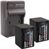 PATONA 2x Batteria Patona Platinum + caricatore casa/auto per Sony HDR-CX560E,HDR-CX560