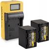 PATONA 2x Batteria Patona + caricatore Synchron LCD USB per Sony HDR-CX560E,HDR-CX560