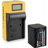 PATONA Batteria Patona Platinum + caricatore Synchron LCD USB per Sony HDR-PJ780E