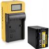 PATONA Batteria Patona + caricabatteria Synchron LCD USB per Sony HDR-PJ780E