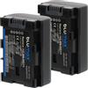 Blumax 2x Batteria Blumax per Jvc GZ-EX310WU,GZ-EX355,GZ-EX515,GZ-EX555,GZ-EX555BU