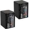 PATONA 2x Batteria Patona Platinum li-ion per Sony HDR-CX560VE,HDR-CX560V,HDR-CX560E