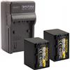 PATONA 2x Batteria Patona + caricabatteria casa/auto per Sony HDR-CX560E,HDR-CX560
