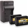 PATONA 2x Batteria Patona + caricabatteria casa/auto per Sony HDR-CX560VE,HDR-CX560V