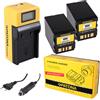 Patona 2x Batteria Patona + caricabatteria Synchron LCD USB per Jvc GR-D250U,GR-D250US