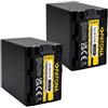 PATONA 2x Batteria li-ion Patona per Sony HDR-CX560E,HDR-CX560V,HDR-CX560VE,HDR-CX550