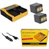 Patona Batteria + caricatore 4in1 DUAL LCD per Panasonic NV-GS320EG-S,NV-GS33,NV-GS330