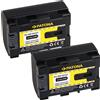 Patona 2x Batteria Patona 890mAh li-ion per Jvc Everio GZ-HM550AH,GZ-HM550B,GZ-HM550BEK