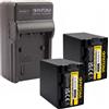 PATONA 2x Batteria Patona + caricabatteria casa/auto per Sony HDR-PJ780E,HDR-PJ780VE