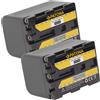 Patona 2x Batteria Patona 2600mAh per Sony HVR-A1P,HVR-A1U