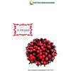 plast project KIT x 200 GOCCIOLATORI REGOLABILI VASO GIARDINO GOCCIOLATORE IRRIGAZIONE PRATO