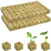 100 Pezzi Cubi Di Lana Di Roccia Con Fori, 2.5 X 2.5 X 2.5 Cm Cubetti Lana Di Ro