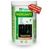 Does not apply Radistar - Effetto Ormone Radicante per Talee in Polvere (800 Gr) Radicante per