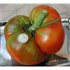 50 SEMI DI POMODORO TOMATO RAF-- SPEDIZIONE GRATUITA