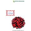 plast project KIT x 100 GOCCIOLATORI REGOLABILI VASO GIARDINO GOCCIOLATORE IRRIGAZIONE PRATO