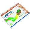 Giotto Scatola 36 Pastelli Natura 2408 X5