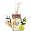 Qc terme spas and resorts QC Terme ARIA ROMA, Profumatore per ambiente in vetro a bastoncini 250 ml, Fragr