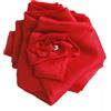 PremiumTech Trucco Magico Foulard in Seta Trasforma in Rosa Sparizione Scena Close Up