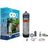 Aquili CO2 PLANTA PLUS - Kit CO2 con Riduttore MAN. di ALTA e bombola 600 g - AQUILI