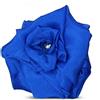 PremiumTech Trucco Magico Foulard in Seta Trasforma in Rosa Sparizione Scena Close Up