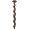 Ambrovit Viti Per Legno T. S. P. Bronzate 3,5X16 - 10 Ce