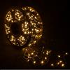 Catena Luminosa 1000 LED per Esterno con 8 Giochi di Luce Bianco Caldo luci