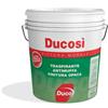 CROMOLOGY ITALIA DUCOSI DUCO PROMASTER PITTURA MURALE PER INTERNI TRASPIRANTE ANTIMUFFA LITRI 13