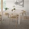 EffeZeta Tavolo allungabile Mono Core con allunga centrale 160x72.7x90.4 cm colore cashme
