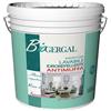 Area 51 Pittura Antimuffa Idropittura Lavabile Idrorepellente per Interni 14Lt BIOGERGAL