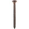 Ambrovit Viti Per Legno T. S. P. Bronzate 4,5X30 - 5 Ce