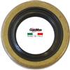 Rms PARAOLIO 17 X 35 X 8 FBM MINARELLI P4 P6 V1 100661090