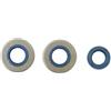 Athena PARAOLIO MOTORE MINARELLI V1 FANTIC ISSIMO CIMATTI CHIC RIZZATO CALIFFONE ATHENA