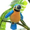 Bambini Pronunciare Parlare Pappagallo Ripete Quello Che Dici Elettronico