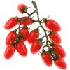 Frutta per centri commerciali, vetrine e oggetti di scena, esposizione di