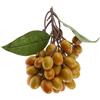 Frutta per centri commerciali, vetrine e oggetti di scena, esposizione di