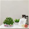 6 Pcs Vaso Per Terrario Di Fiori Plastica Contenitore Ninfee Piccoli Vasi Da