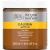 Winsor & Newton Acrilico Galeria 250 ml Terra di Siena Naturale